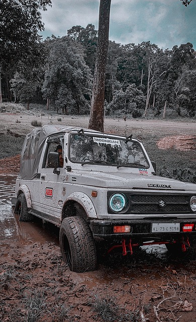 在达拉斯 在达拉斯