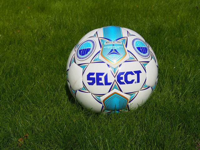 动文化色彩 动文化色彩