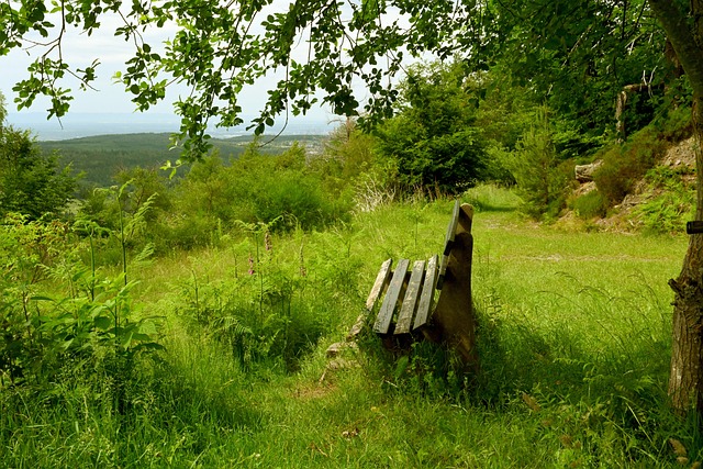 同样是依靠 同样是依靠
